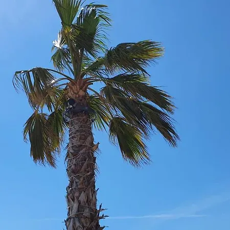 By Osibov Silverfish & Goldenfish * Kastela