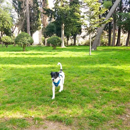 By Osibov Silverfish & Goldenfish Apartman Kastela