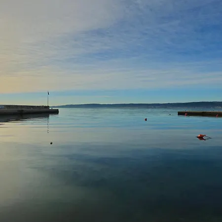 By Osibov Silverfish & Goldenfish Kastela