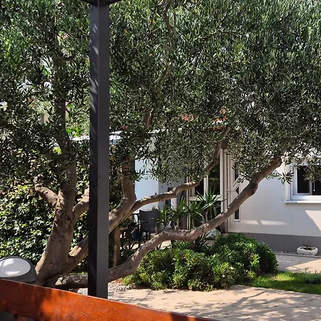 Apartman By Osibov Silverfish & Goldenfish *