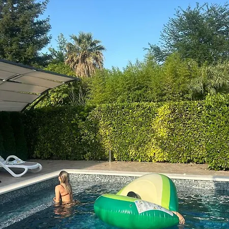 By Osibov Silverfish & Goldenfish * Kastela