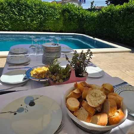 By Osibov Silverfish & Goldenfish