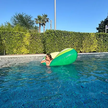 By Osibov Silverfish & Goldenfish