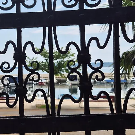 By Osibov Silverfish & Goldenfish