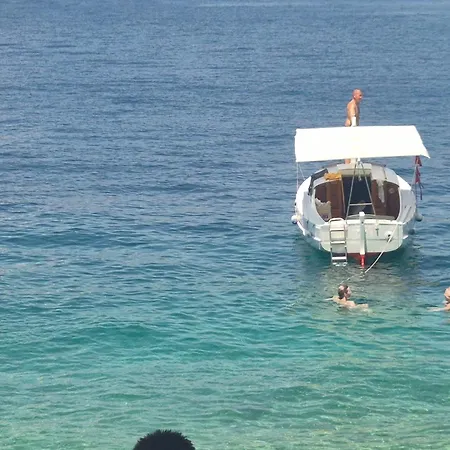 By Osibov Silverfish & Goldenfish Kastela